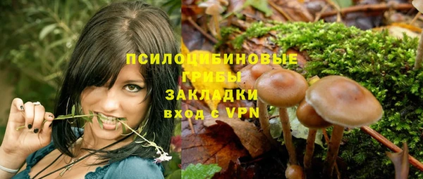 спайс Иннополис
