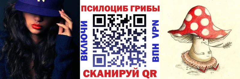 Купить закладки  Жуков  Галлюциногенные грибы Psilocybine cubensis 